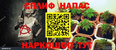 мяу мяу мука Первоуральск